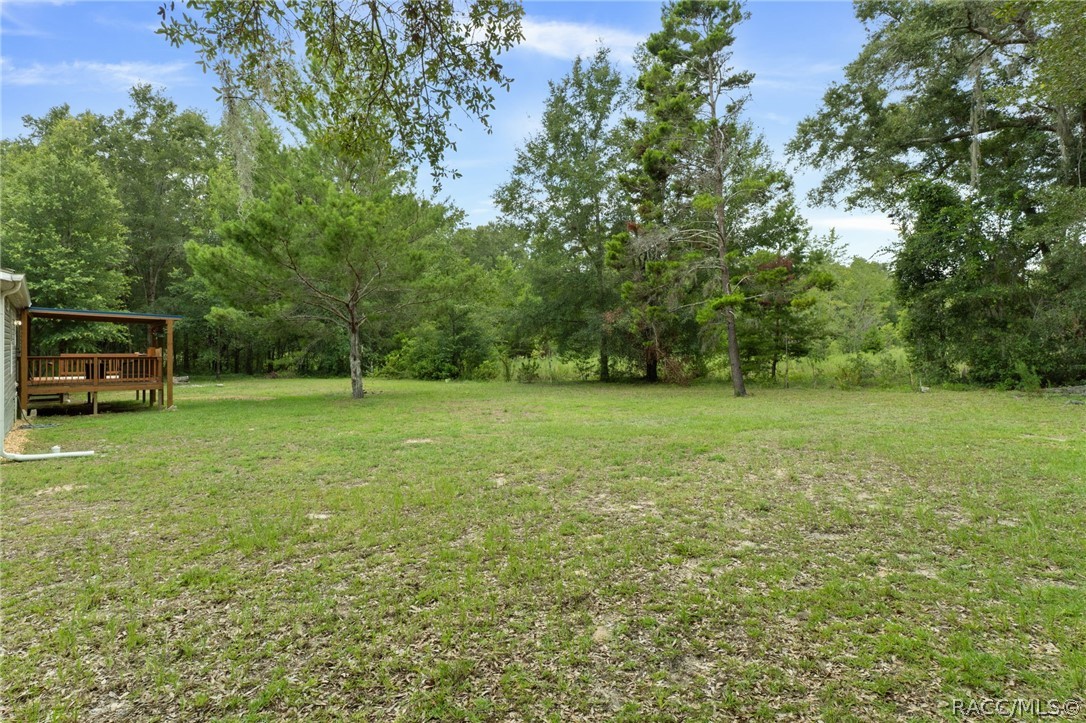 810 North Obrien Point Lecanto, FL 34461 - Photo 30 of 54