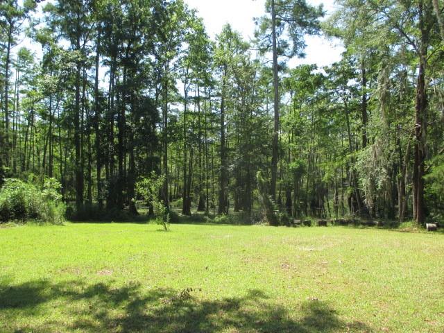 591 Jd Camp Road Atlanta, LA 71404 - Photo 3 of 30 Gallery Image 3
