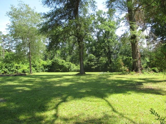 591 Jd Camp Road Atlanta, LA 71404 - Photo 8 of 30 Gallery Image 8