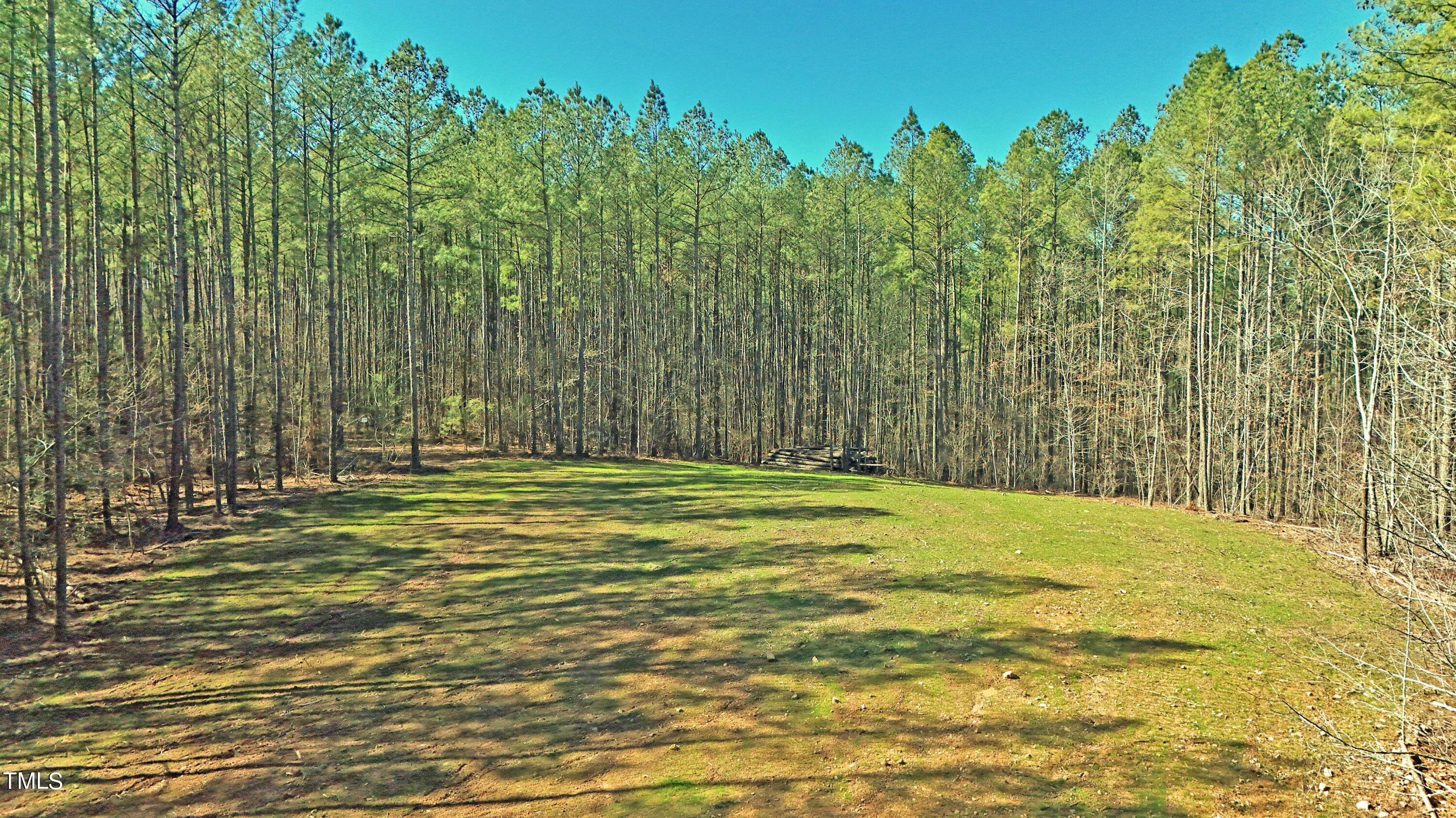 4816 Carbonton Road Sanford, NC 27330 - Photo 3 of 14 Cleared homesite.