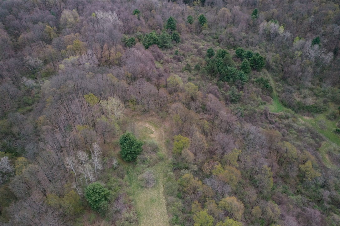 8921 Eelpot Road Naples, NY 14512 - Photo 11 of 50