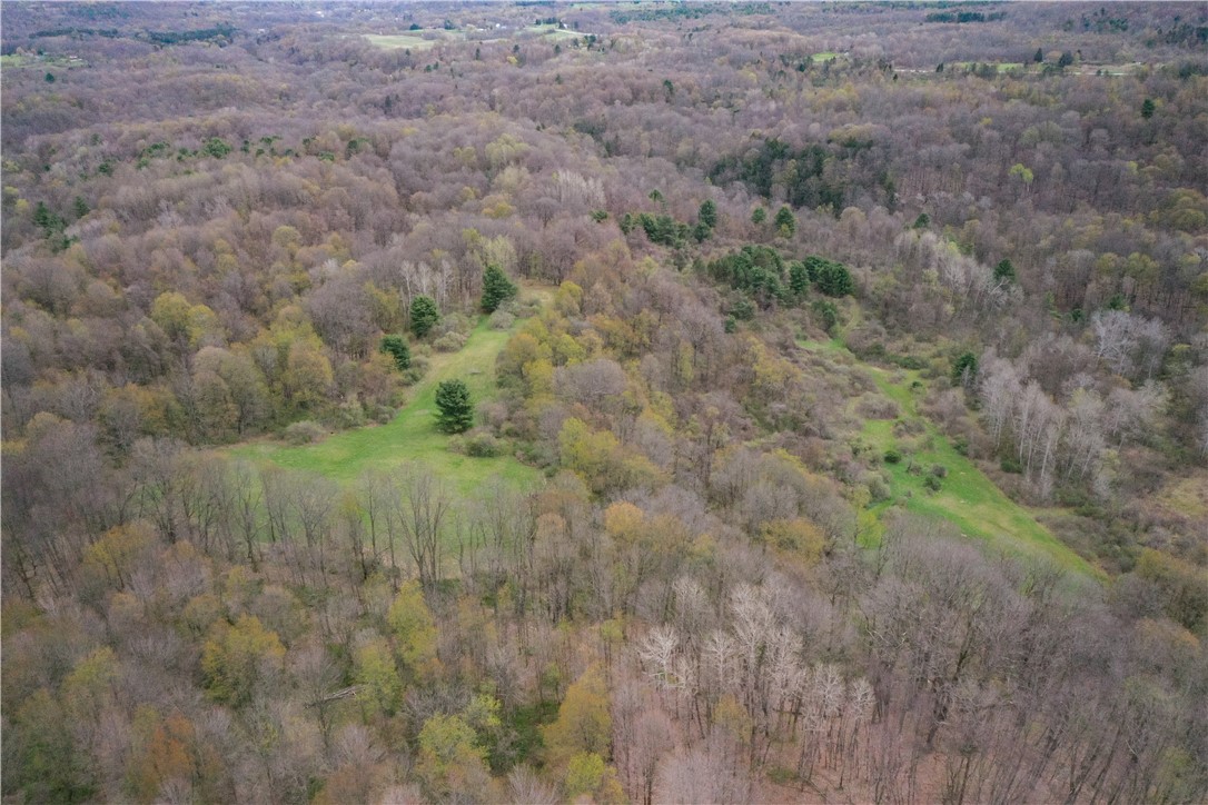 8921 Eelpot Road Naples, NY 14512 - Photo 12 of 50