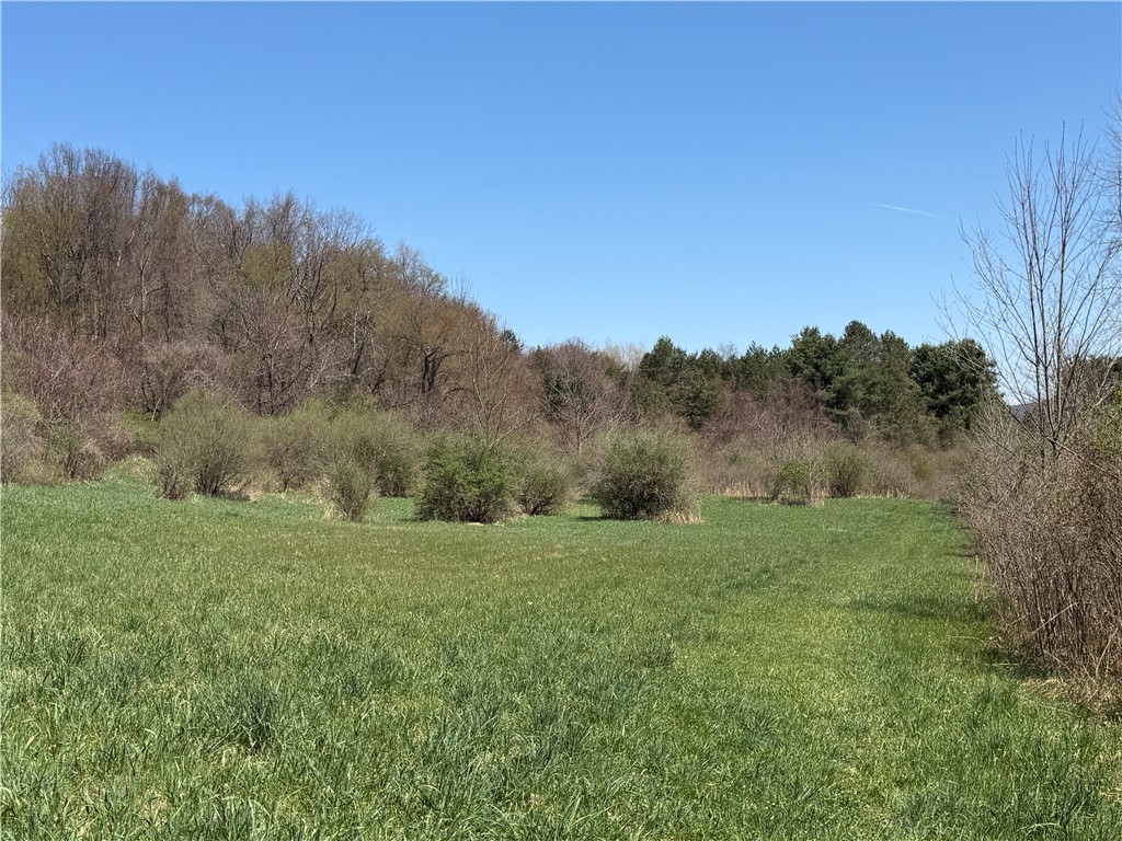 8921 Eelpot Road Naples, NY 14512 - Photo 16 of 50