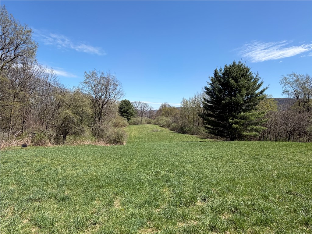 8921 Eelpot Road Naples, NY 14512 - Photo 17 of 50