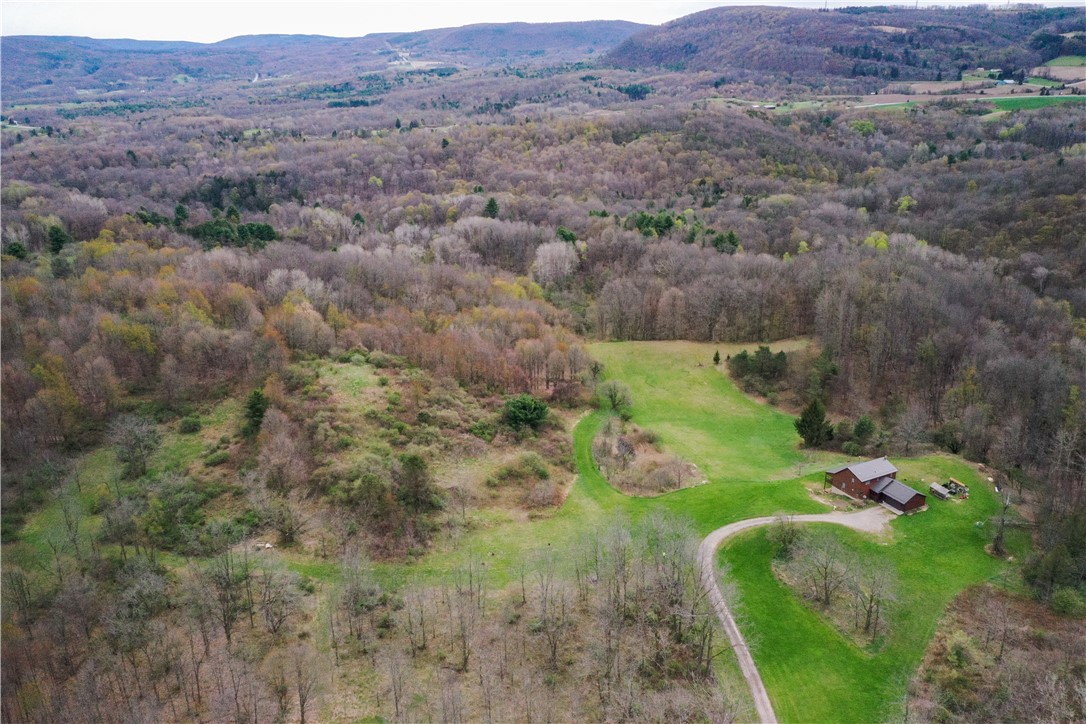 8921 Eelpot Road Naples, NY 14512 - Photo 9 of 50