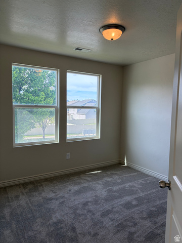 814 West 600 South, Unit 10 Springville, UT 84663 - Photo 22 of 28