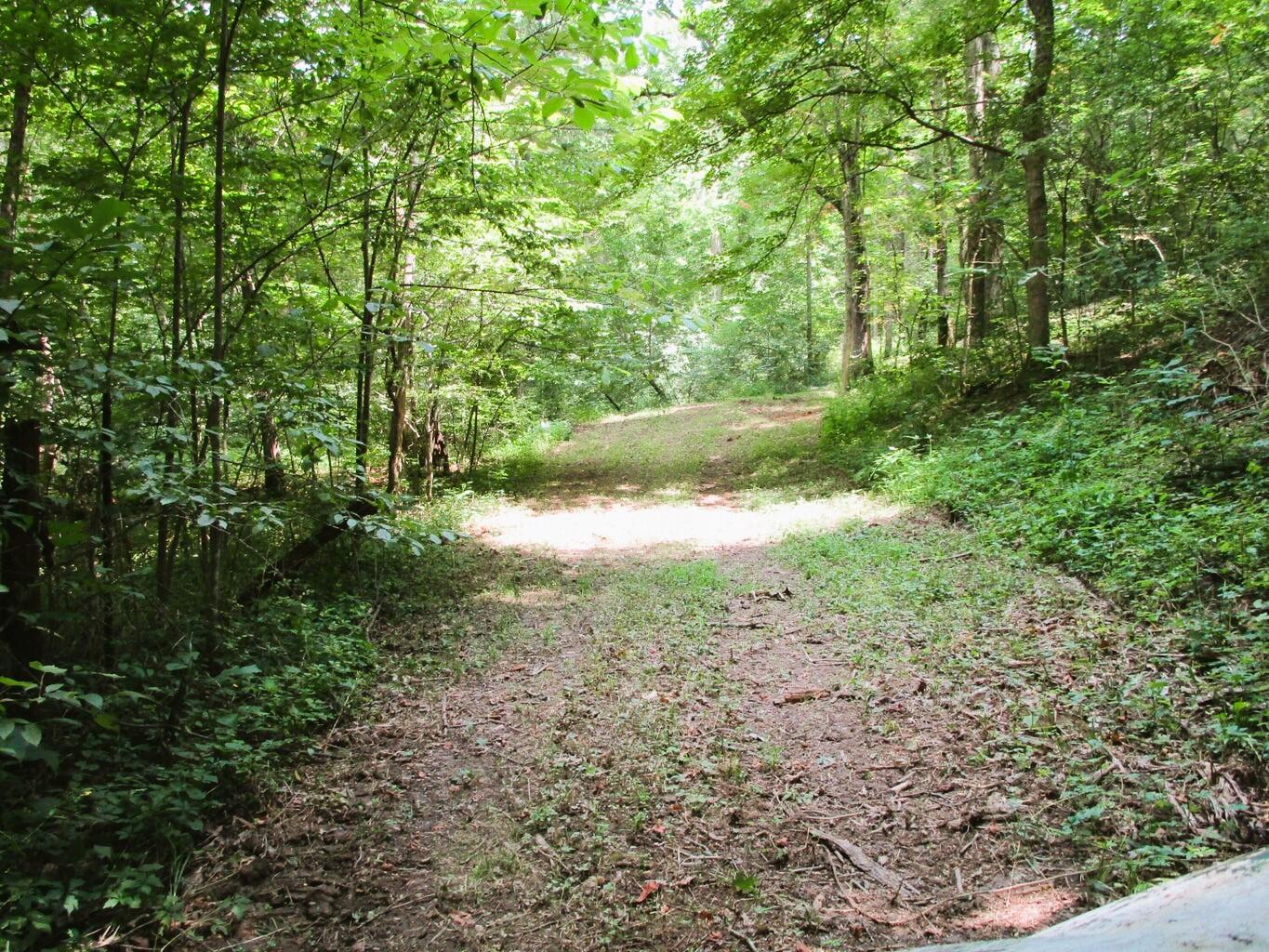 11.5-ac Osborne Road Dry Ridge, KY 41035 - Photo 20 of 38 Osborne 2