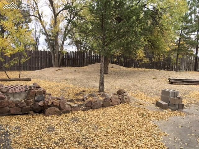 12265 Smith Road Peyton, CO 80831 - Photo 29 of 34 Gallery Image 29