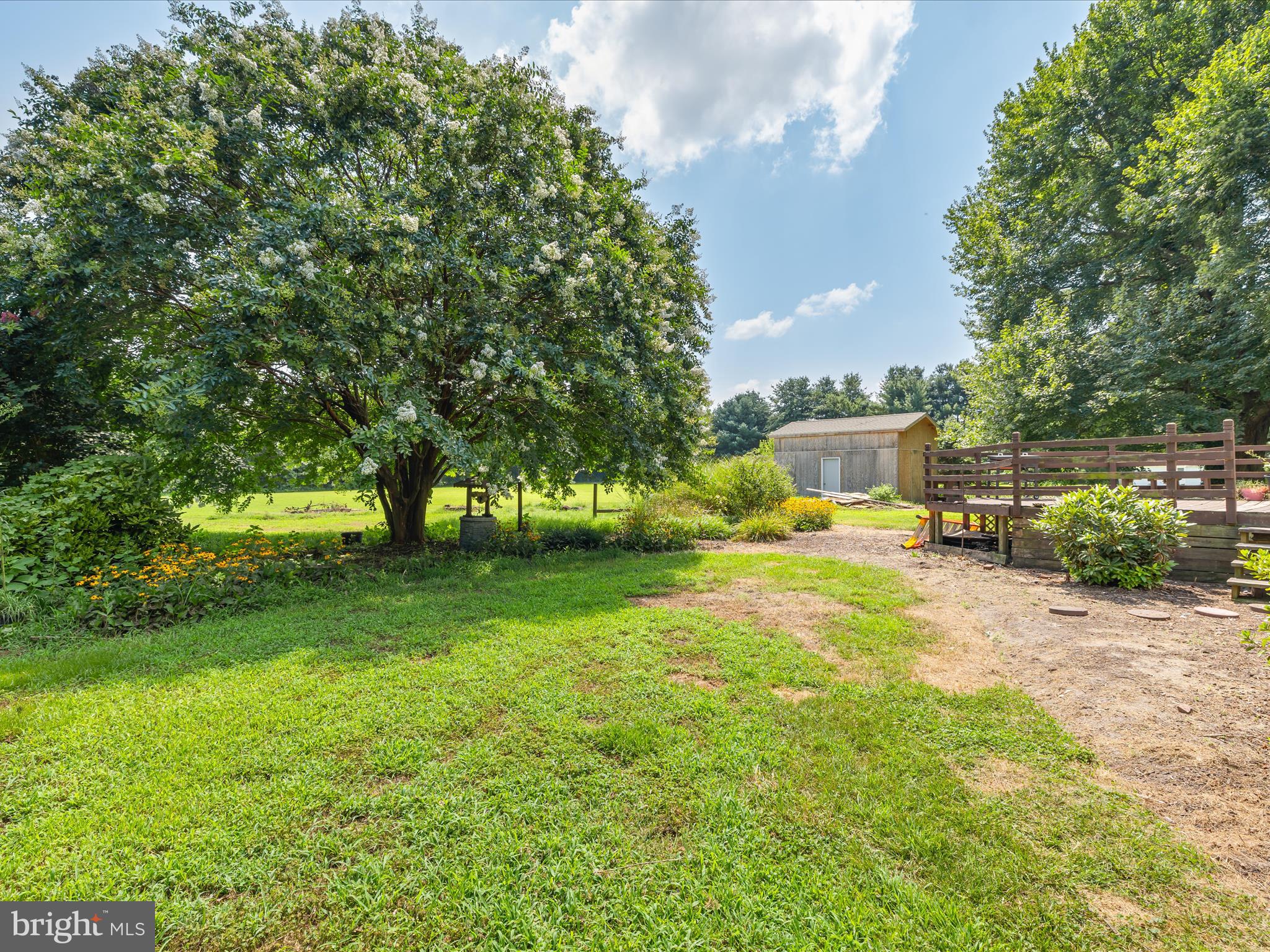 28495 Fire Tower Road Laurel, DE 19956 - Photo 31 of 31 a view of a yard with large trees