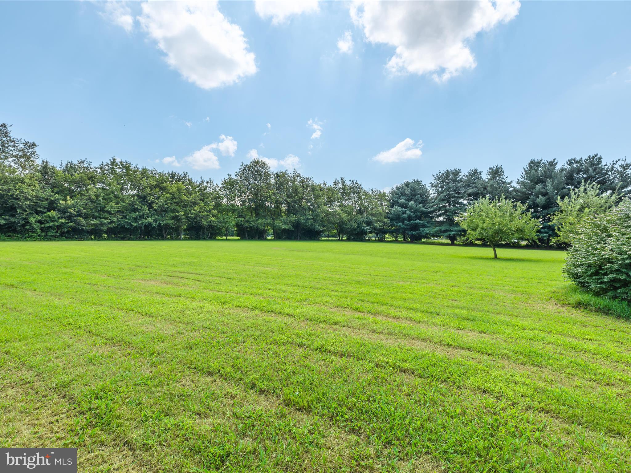 28495 Fire Tower Road Laurel, DE 19956 - Photo 4 of 31 1.76 Acre Lot
