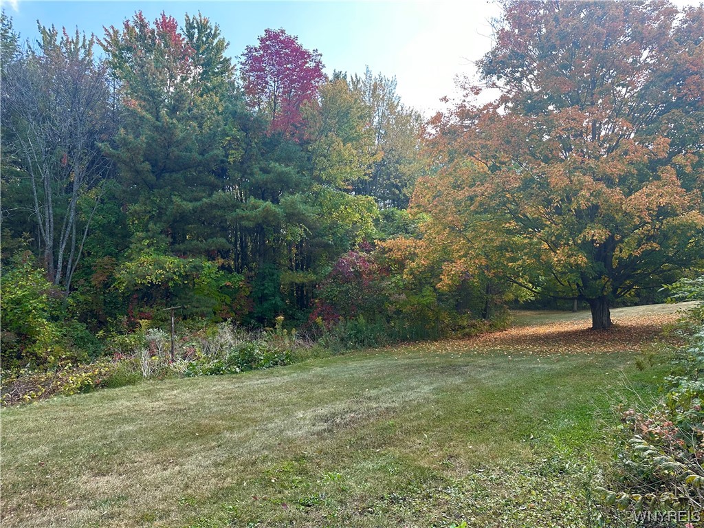 10555 Transit Road Pavilion, NY 14525 - Photo 23 of 29