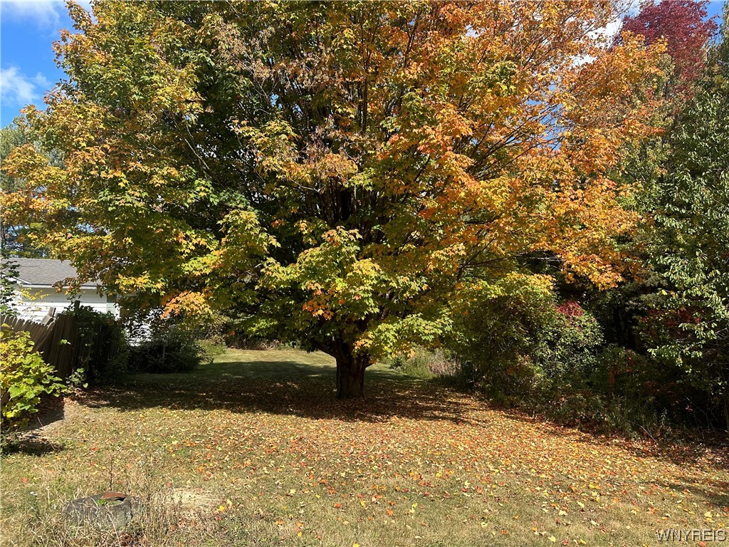 10555 Transit Road Pavilion, NY 14525 - Photo 27 of 29