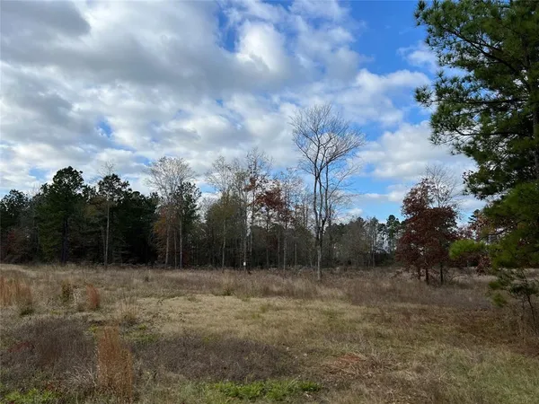 a view of outdoor space