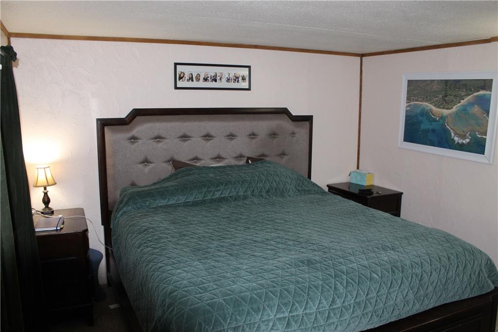 250 Reservoir Road Apollo, PA 15613 - Photo 22 of 25 Gallery Image 22