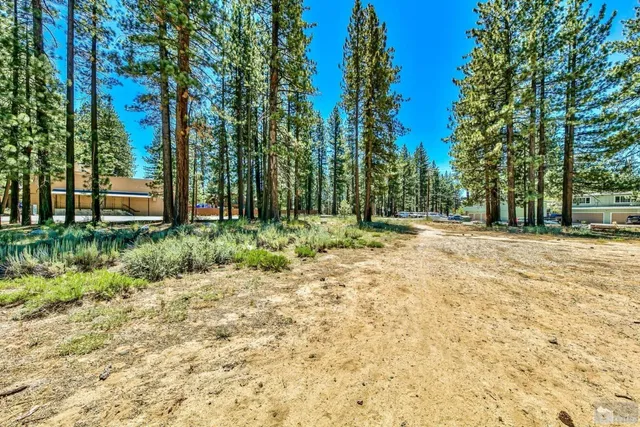 a view of large yard with trees