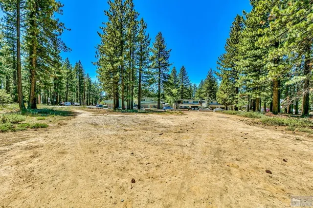 a backyard of a house with lots of green space and trees