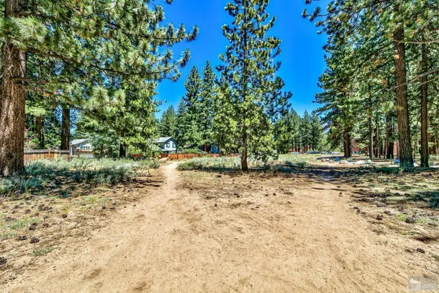 a view of a yard with trees