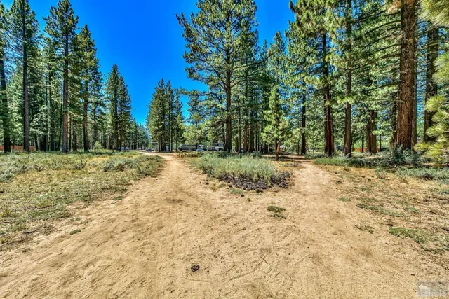 a view of road with trees