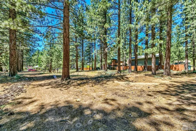 a view of road with trees