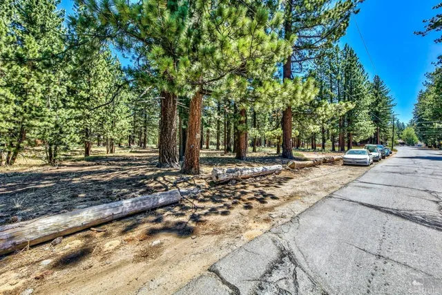 a view of outdoor space with trees