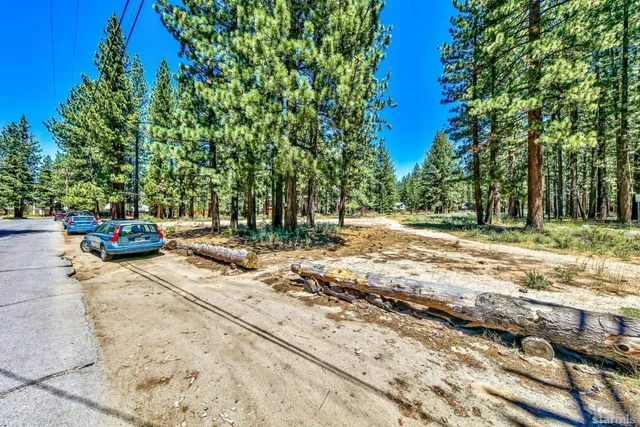 a view of yard with trees