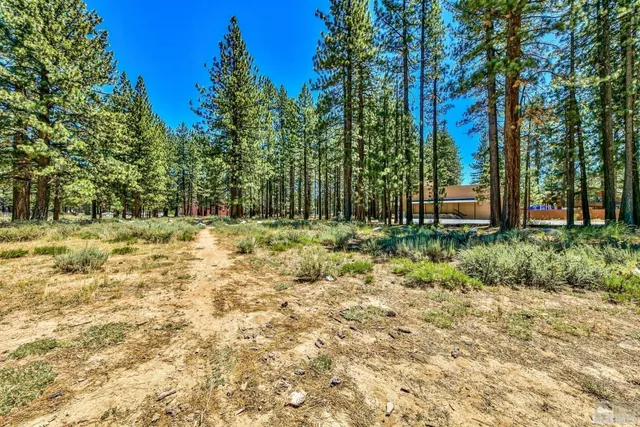 a backyard of a house with lots of green space and fountain