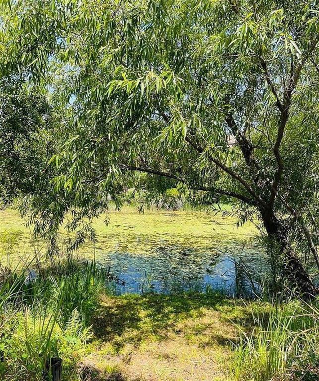 2361 Baltimore Street North Port, FL 34286 - Photo 39 of 40 a view of a large yard
