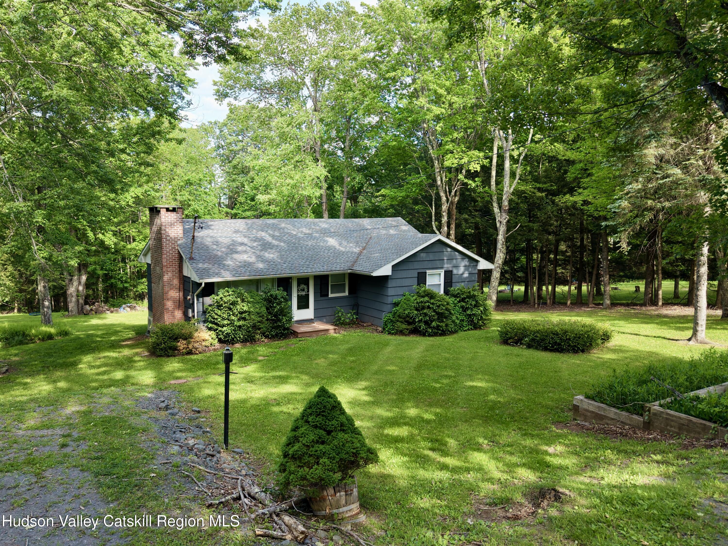 116 Reme Road Prattsville, NY 12468 - Photo 3 of 19 dji_fly_20260602_050252_0112_17804515181