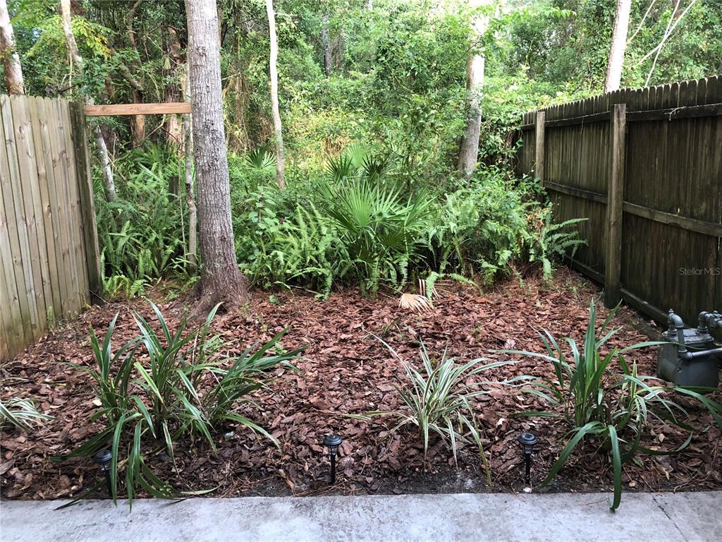 5403 Northwest 20th Court, Unit C Gainesville, FL 32653 - Photo 20 of 21 a view of a backyard with plants