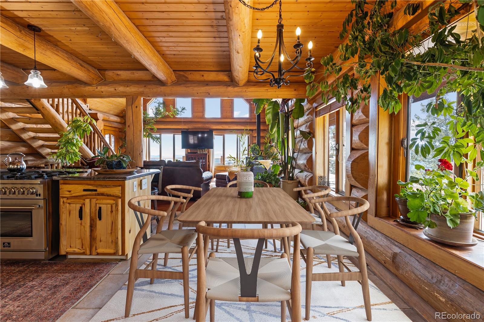 5 Pinecrest Circle Bailey, CO 80421 - Photo 11 of 48