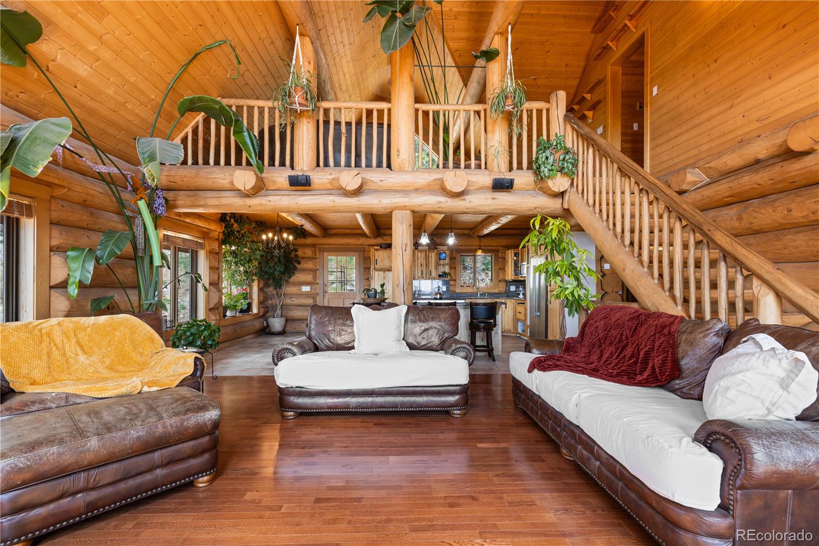 5 Pinecrest Circle Bailey, CO 80421 - Photo 16 of 48