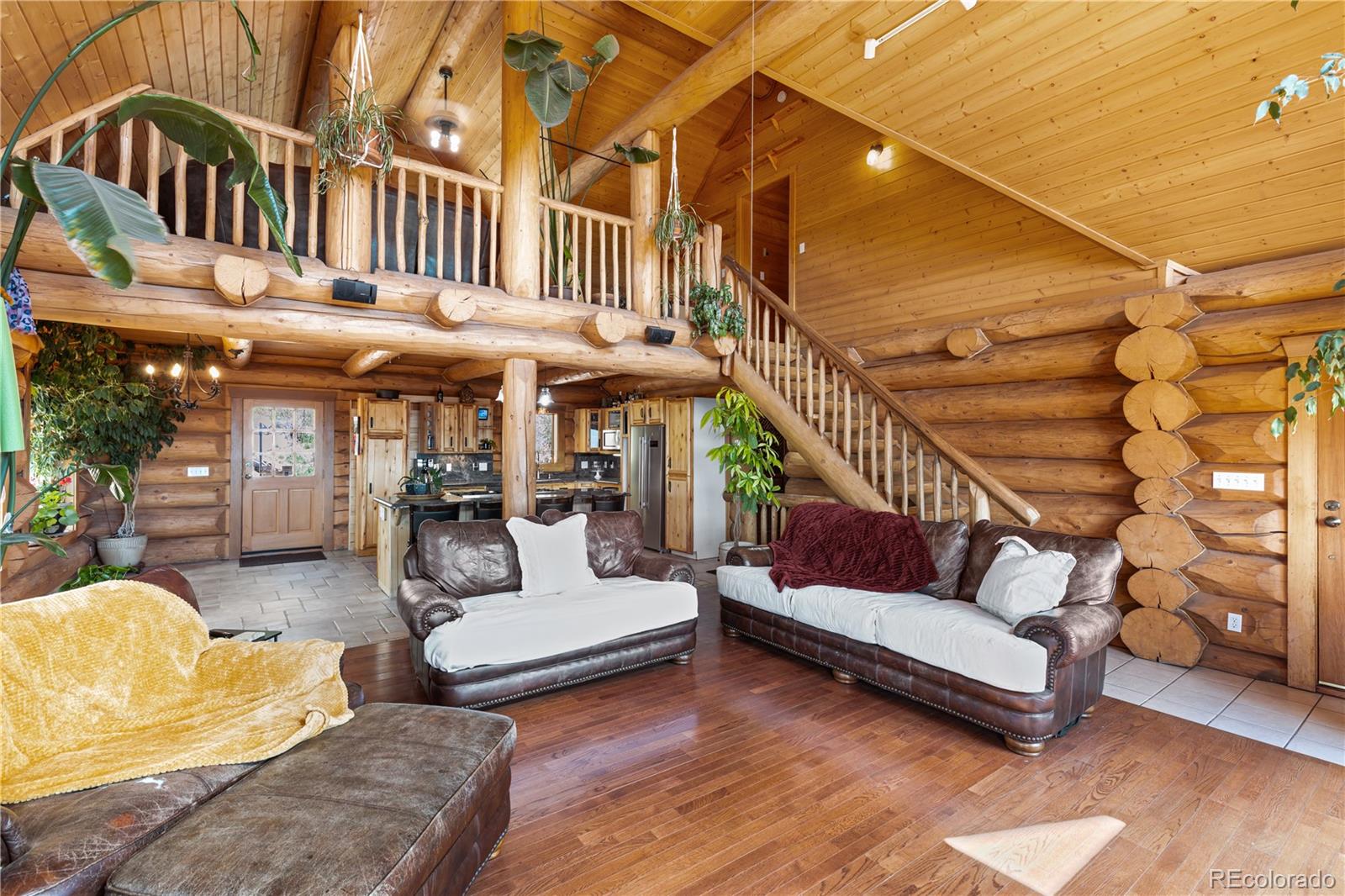 5 Pinecrest Circle Bailey, CO 80421 - Photo 23 of 48