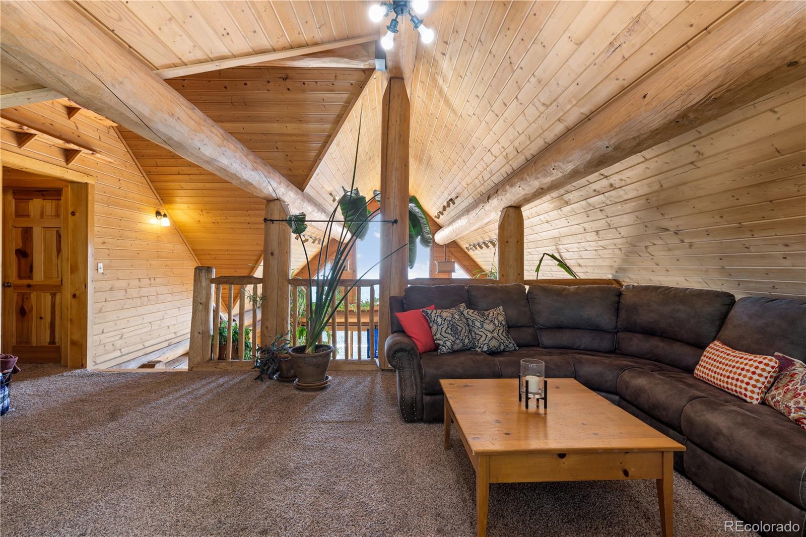 5 Pinecrest Circle Bailey, CO 80421 - Photo 24 of 48