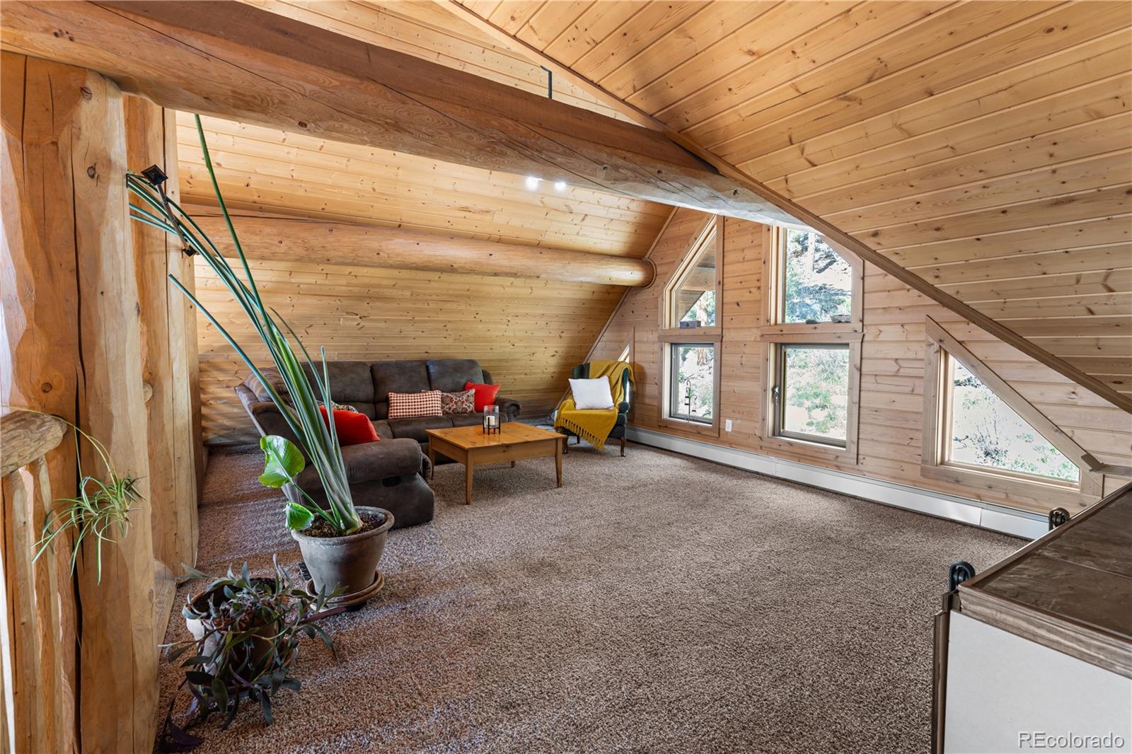 5 Pinecrest Circle Bailey, CO 80421 - Photo 25 of 48