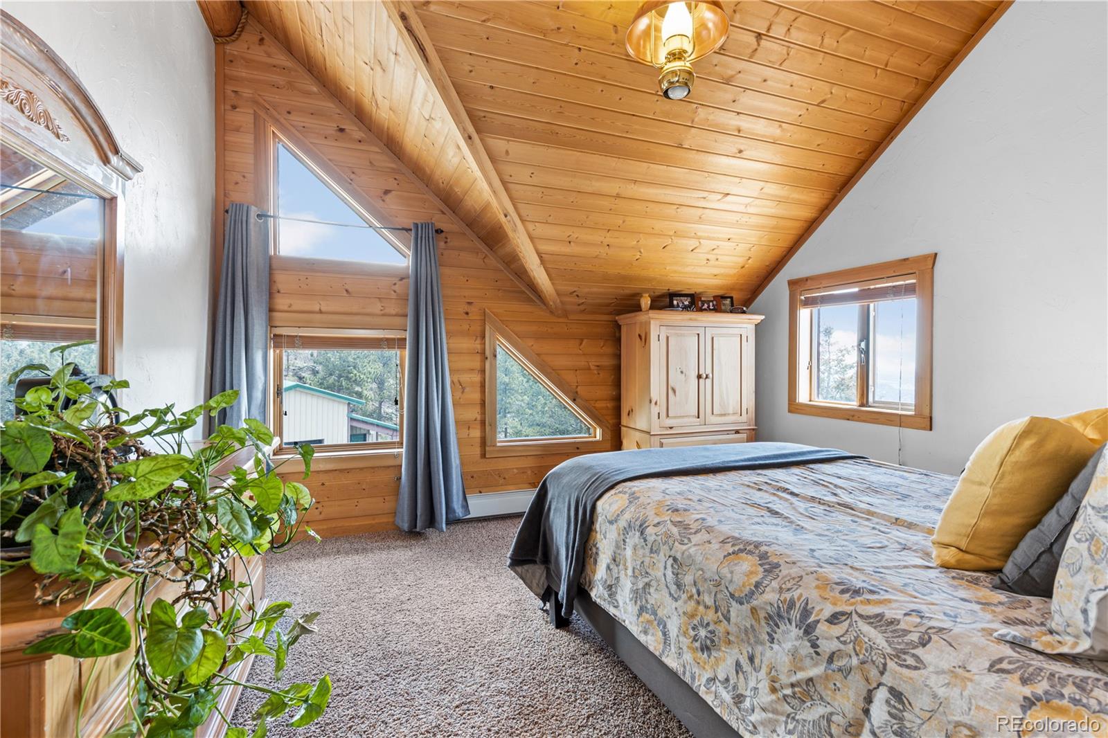 5 Pinecrest Circle Bailey, CO 80421 - Photo 27 of 48