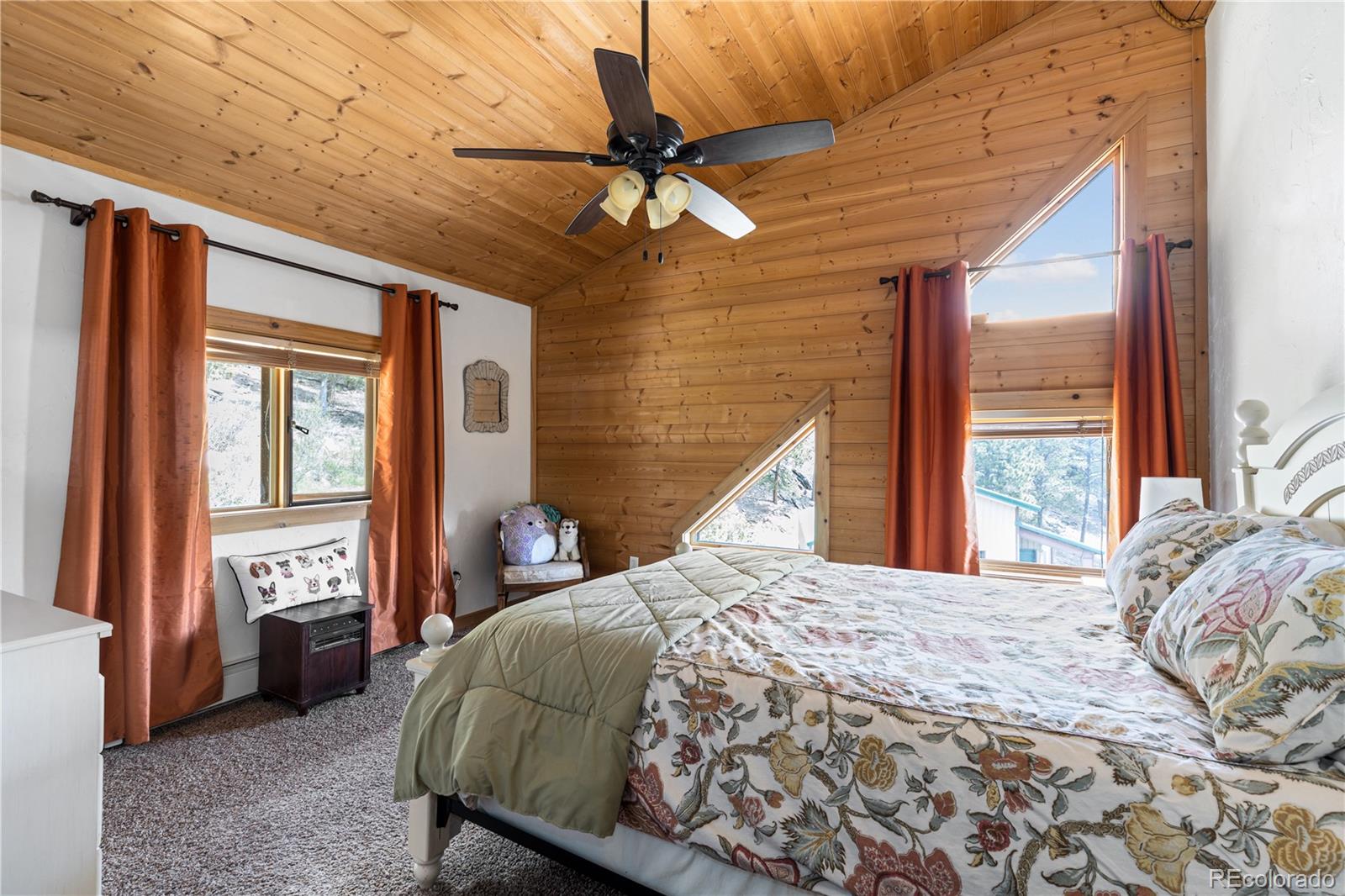 5 Pinecrest Circle Bailey, CO 80421 - Photo 28 of 48