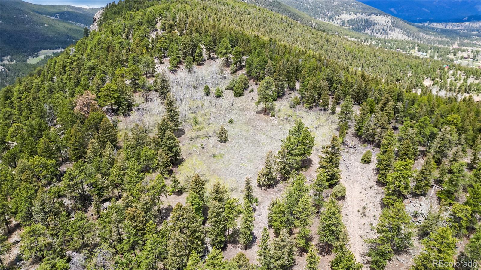 5 Pinecrest Circle Bailey, CO 80421 - Photo 35 of 48