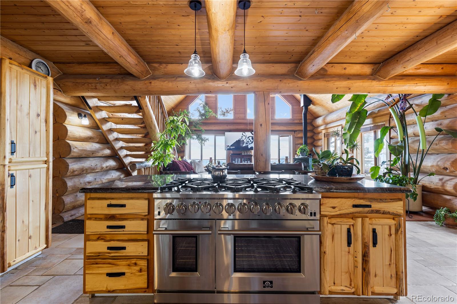 5 Pinecrest Circle Bailey, CO 80421 - Photo 8 of 48