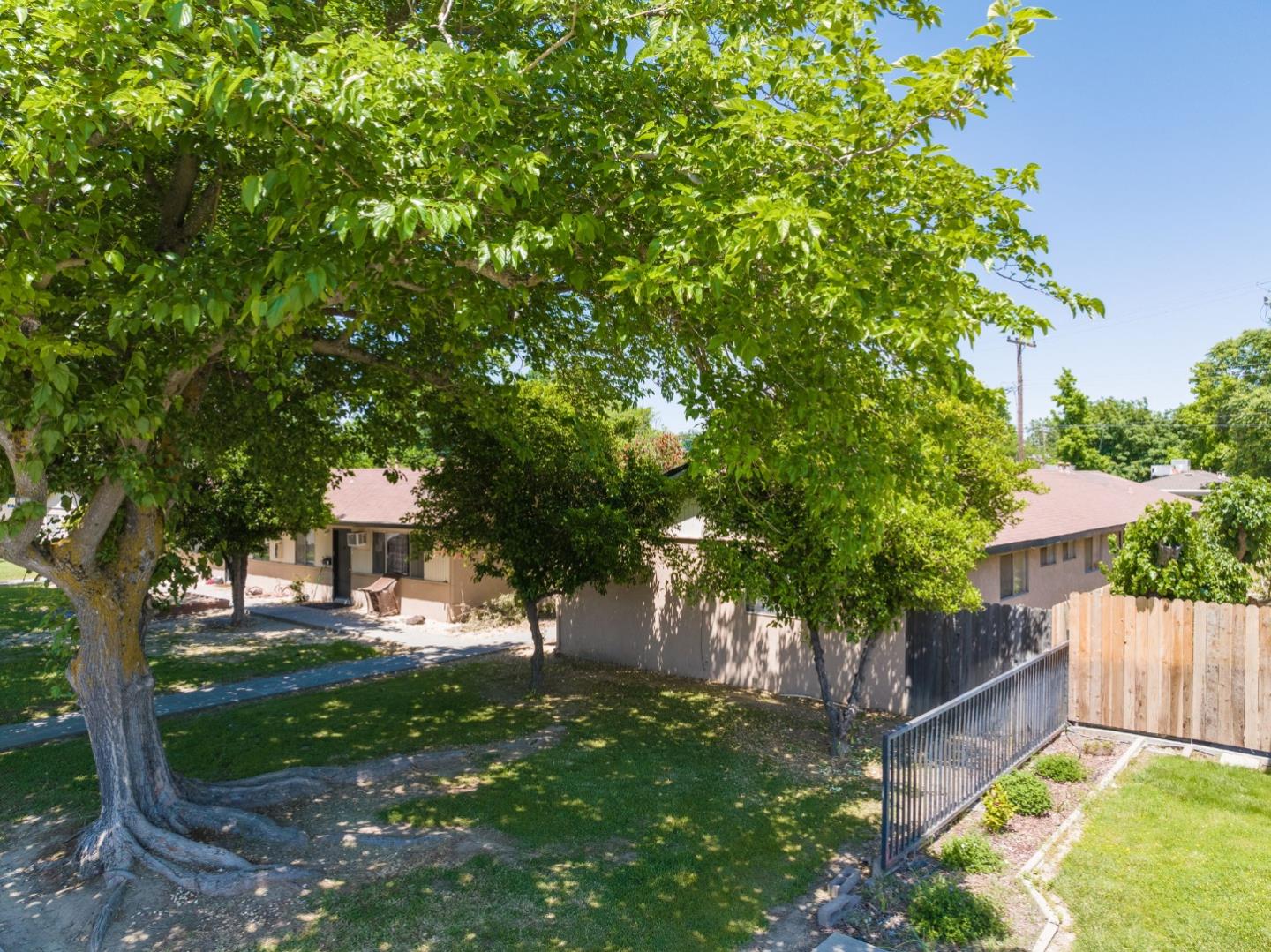 30 Webster Street Colusa, CA 95932 - Photo 9 of 17 a view of a yard with plants and large trees