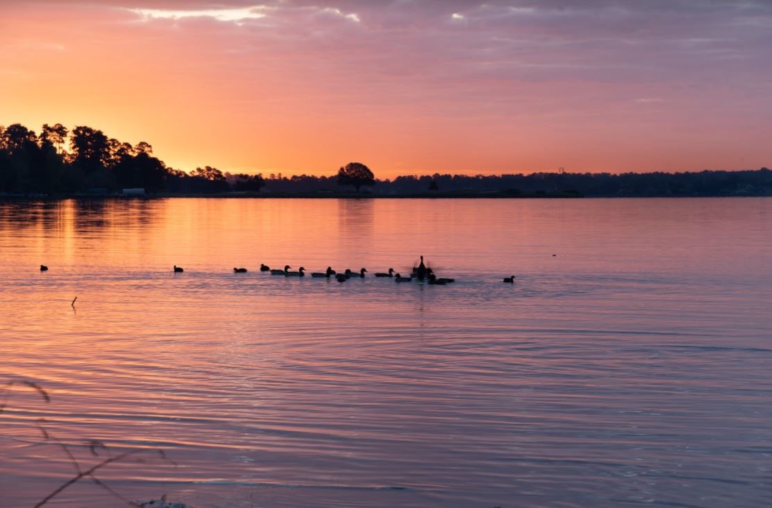 12900 Walden Road, Unit 1010J Montgomery, TX 77356 - Photo 41 of 41 Another view of Beautiful Lake Conroe!