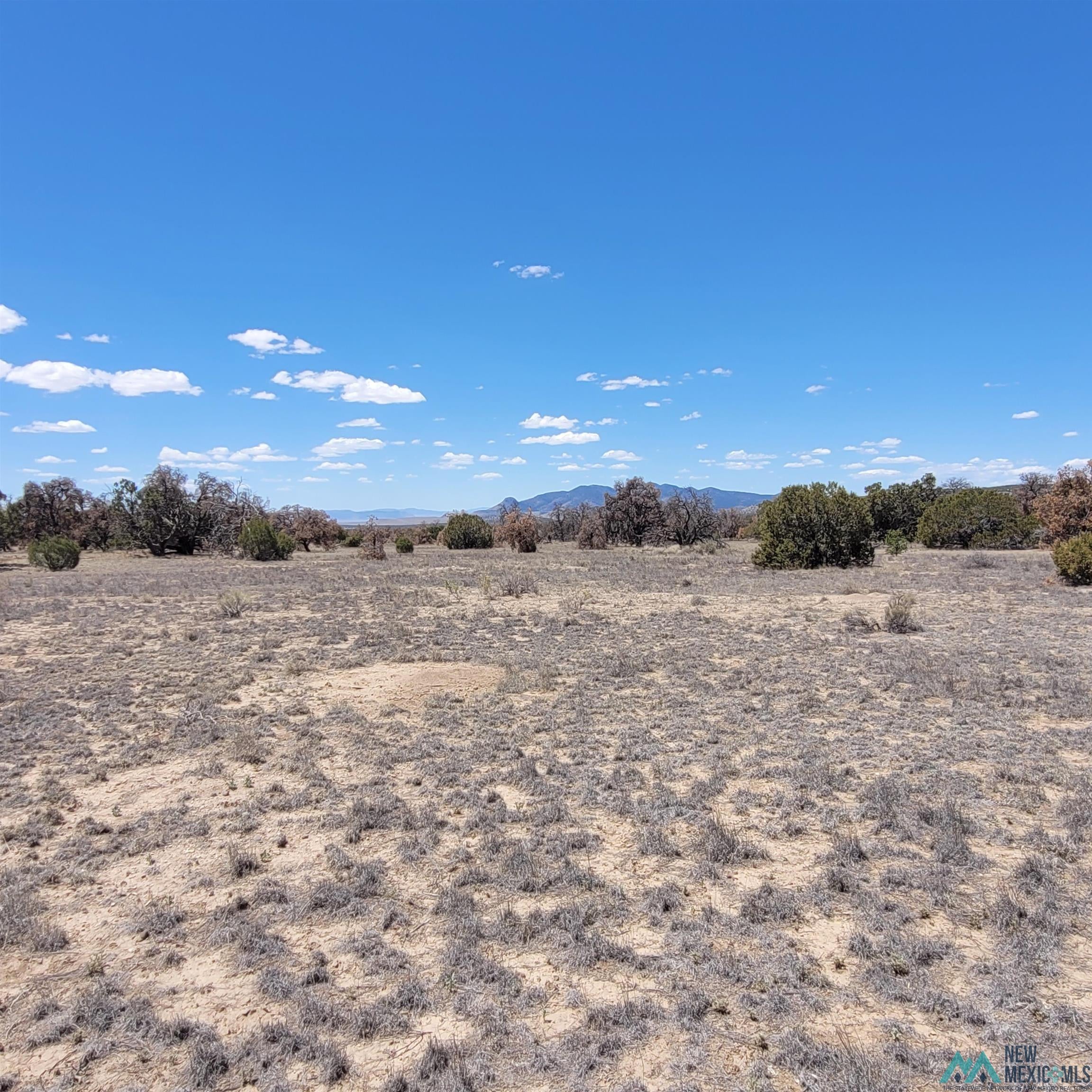 47 Southern Trail, Unit 48 47 Datil, NM 87821 - Photo 32 of 46 Gallery Image 32