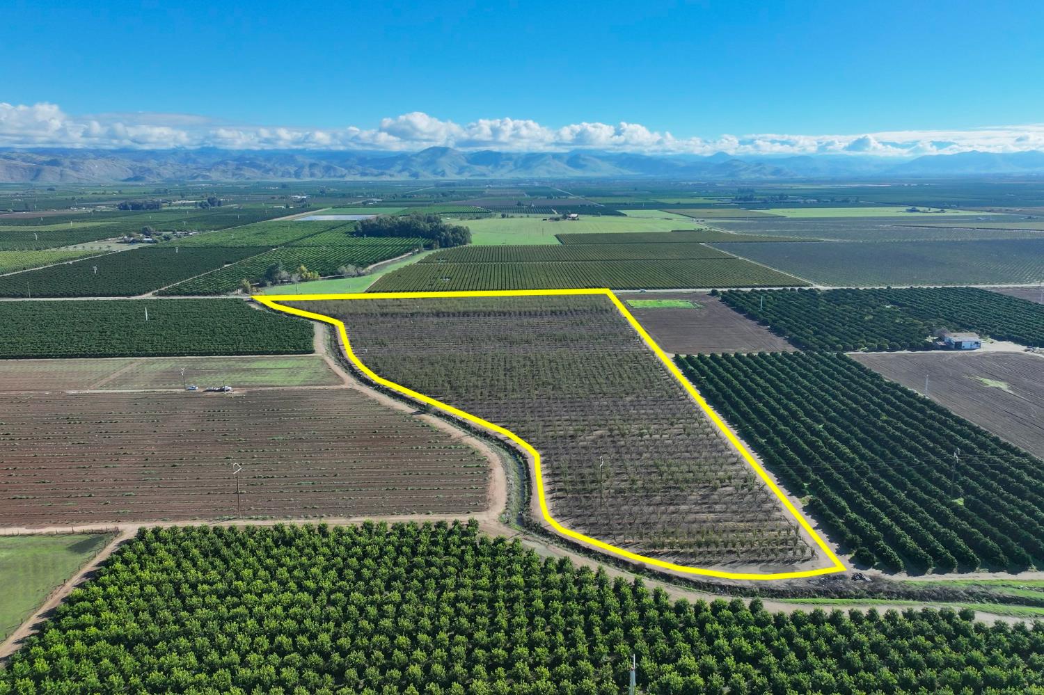 0 South Crawford Avenue Reedley, CA 93654 - Photo 2 of 12