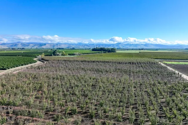 a view of an outdoor space and a yard
