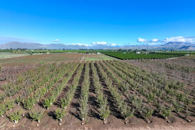 a view of a lake from a yard