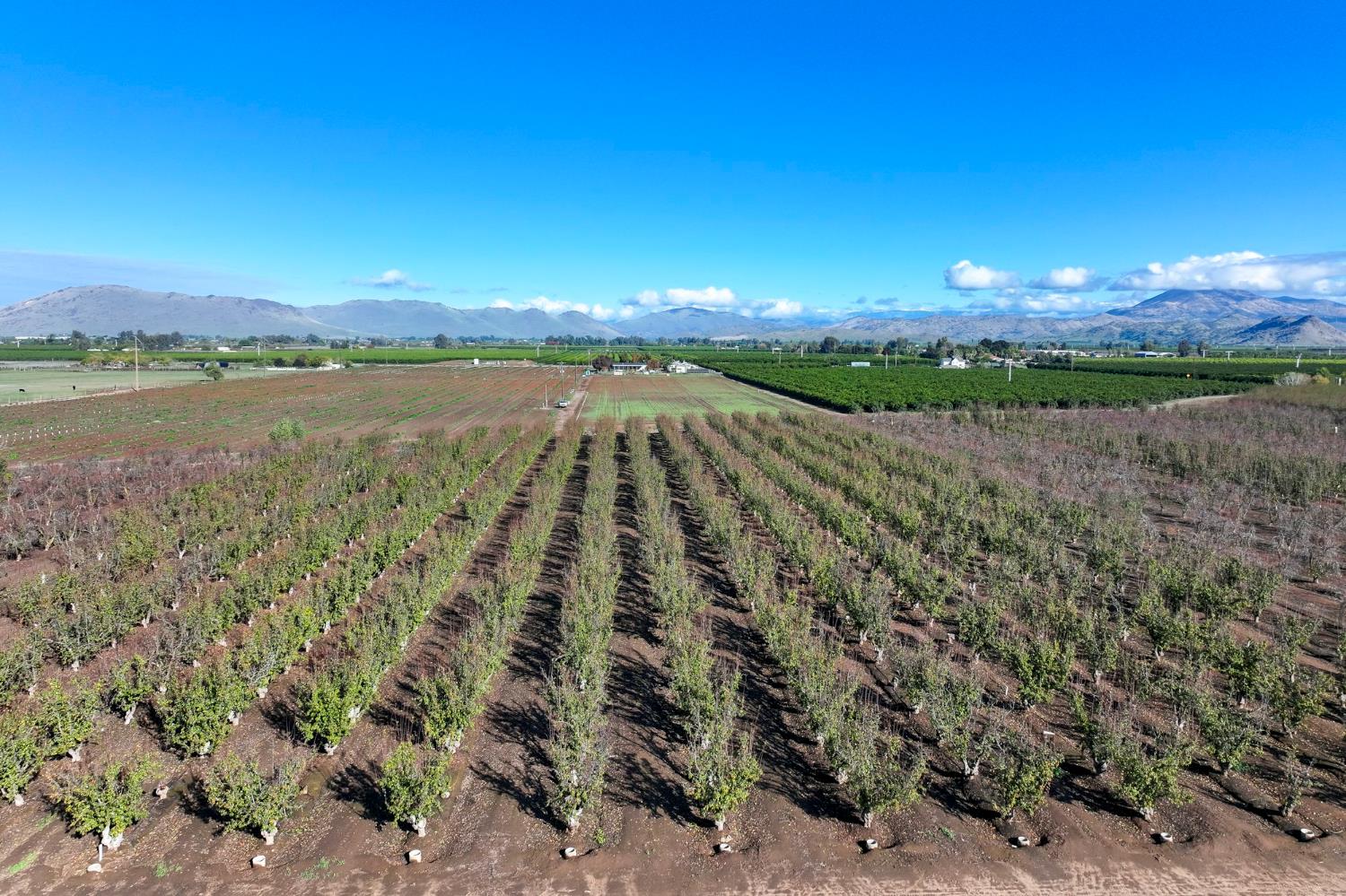 0 South Crawford Avenue Reedley, CA 93654 - Photo 5 of 12