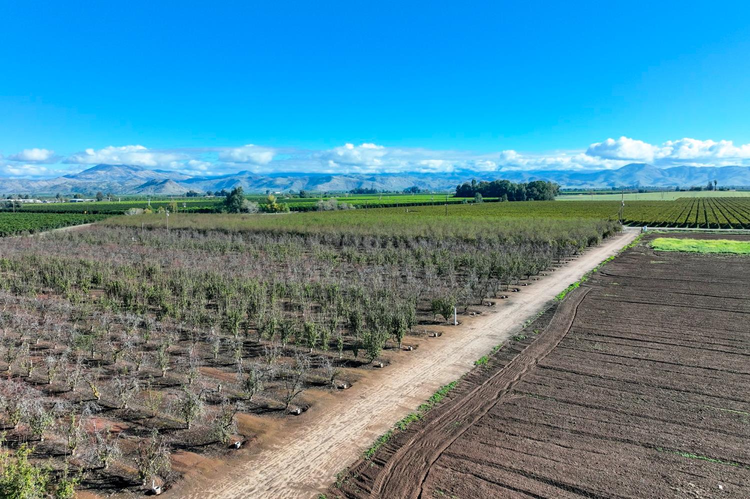 0 South Crawford Avenue Reedley, CA 93654 - Photo 7 of 12