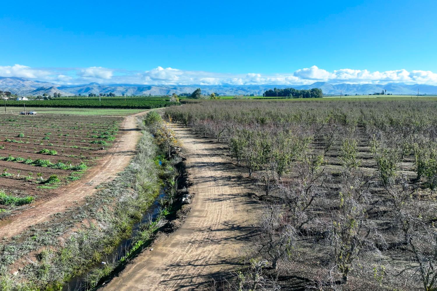 0 South Crawford Avenue Reedley, CA 93654 - Photo 9 of 12