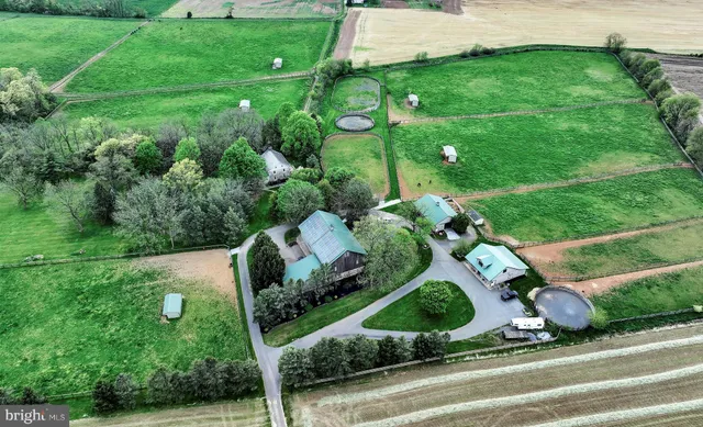 a view of a garden with an outdoor space