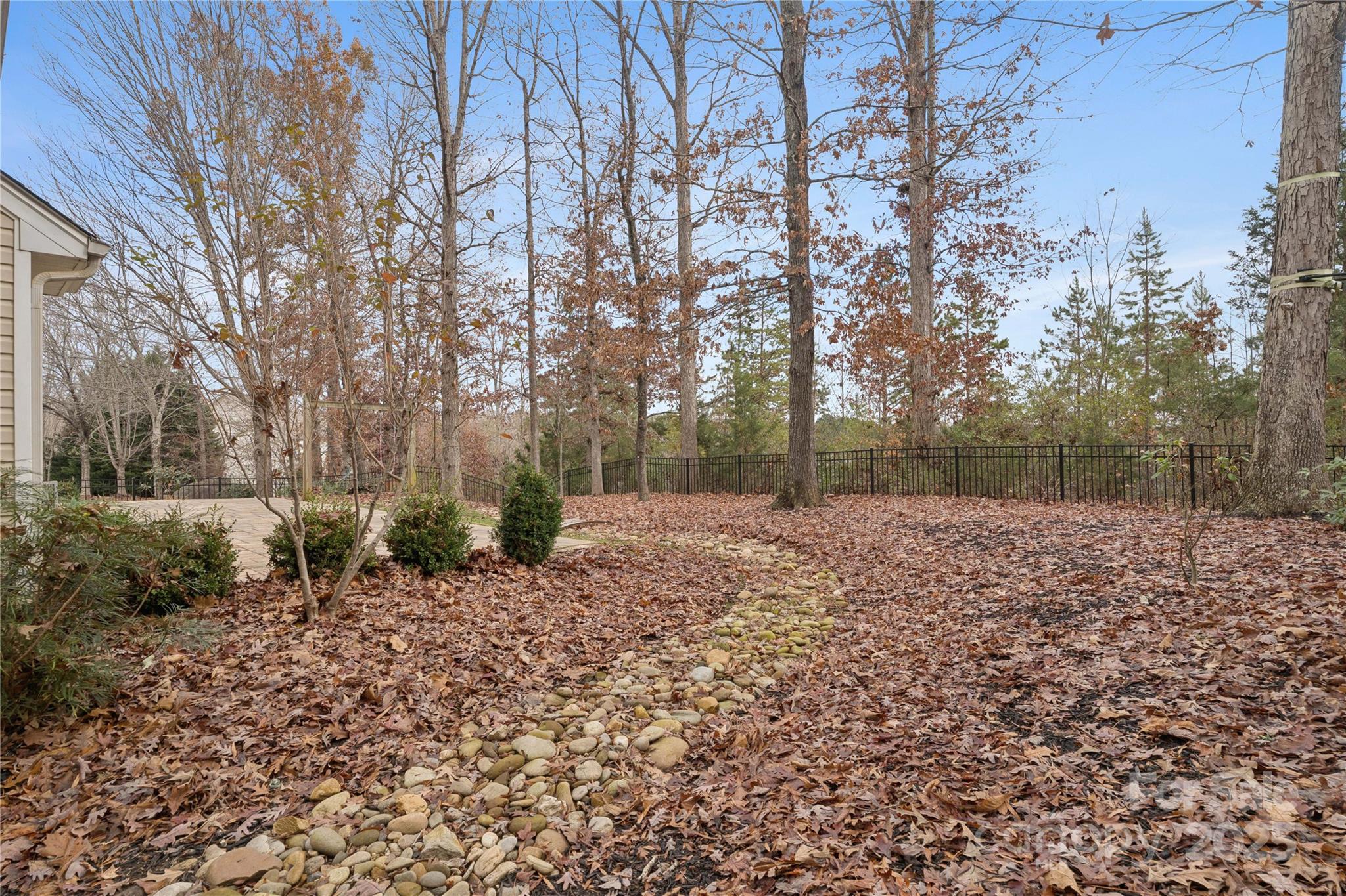 312 Albany Street Fort Mill, SC 29715 - Photo 35 of 36 a backyard of a house with lots of green space