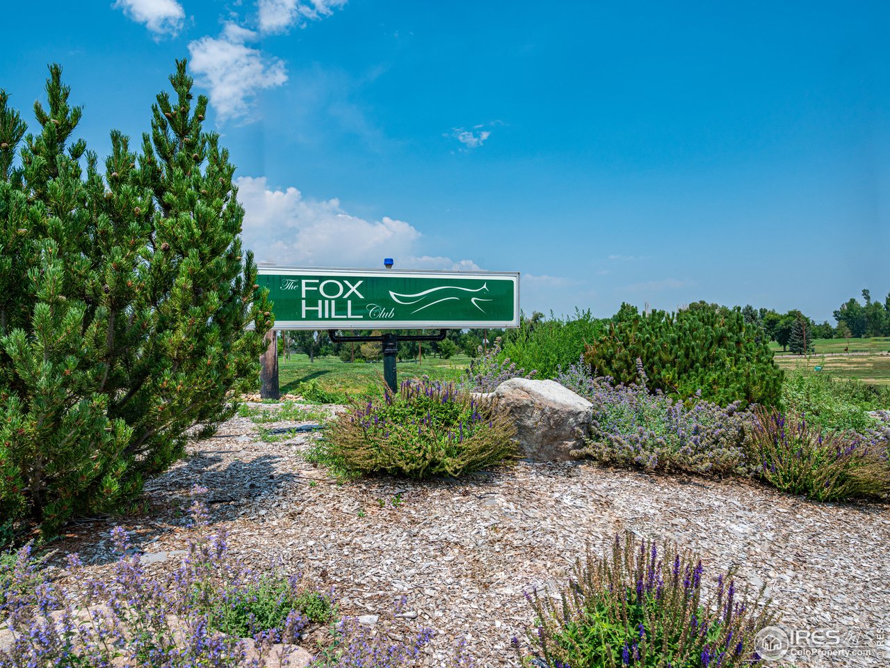 314 Eagle Court Longmont, CO 80504 - Photo 7 of 40 a view of a garden with a building in the background